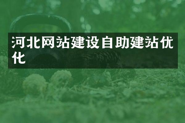 河北网站建设自助建站优化