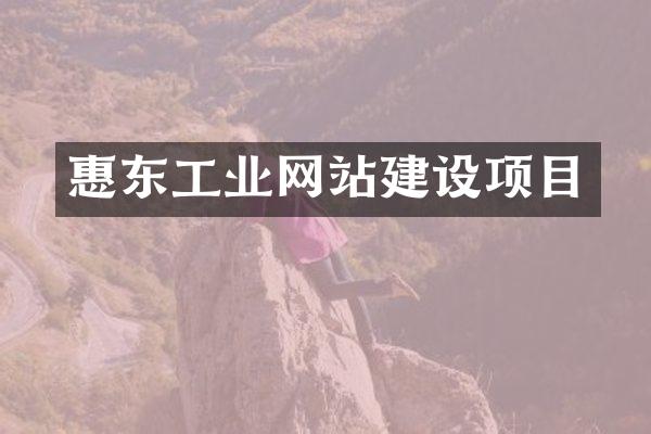 惠东工业网站建设项目