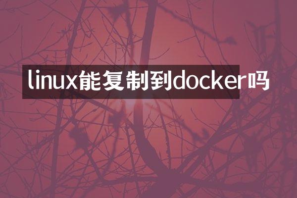 linux能复制到docker吗
