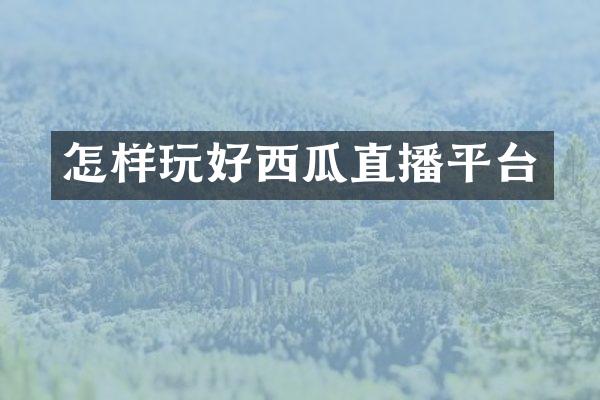 怎样玩好西瓜直播平台