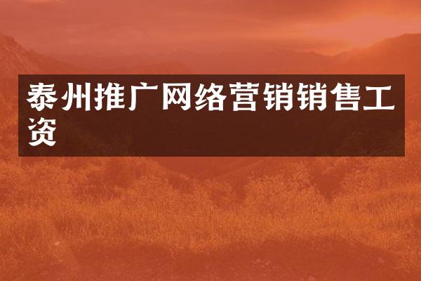 泰州推广网络营销销售工资