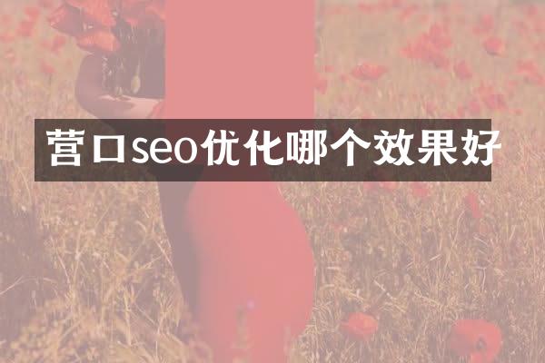 营口seo优化哪个效果好