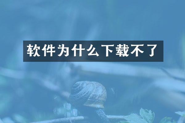 软件为什么下载不了