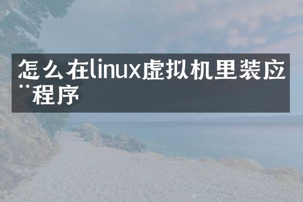 怎么在linux虚拟机里装应用程序