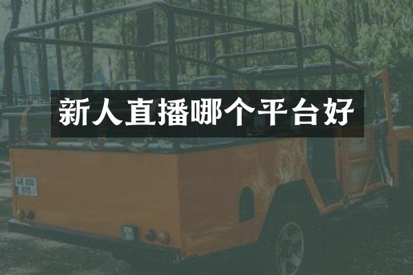 新人直播哪个平台好