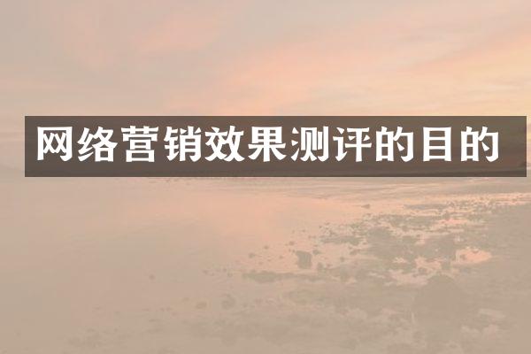 网络营销效果测评的目的