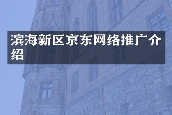 滨海新区京东网络推广介绍
