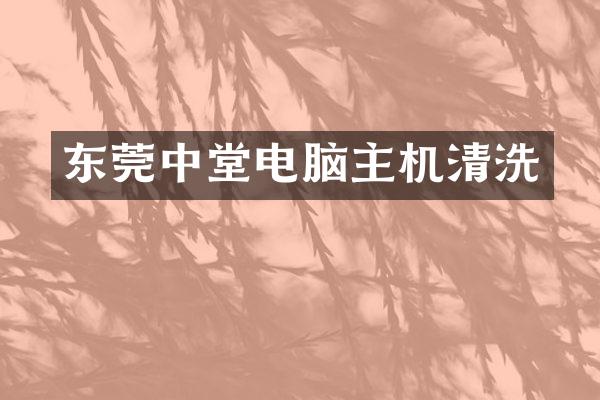 东莞中堂电脑主机清洗