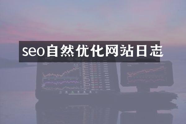 seo自然优化网站日志