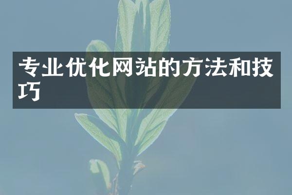 专业优化网站的方法和技巧