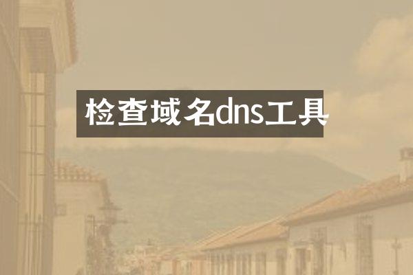 检查域名dns工具