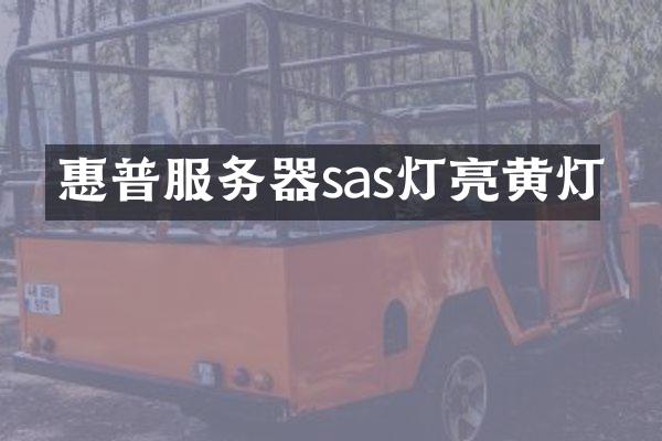 惠普服务器sas灯亮黄灯
