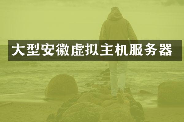 大型安徽虚拟主机服务器