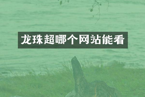 龙珠超哪个网站能看