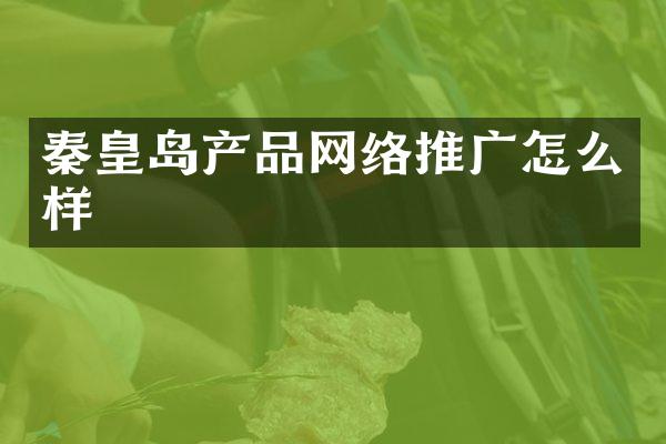 秦皇岛产品网络推广怎么样
