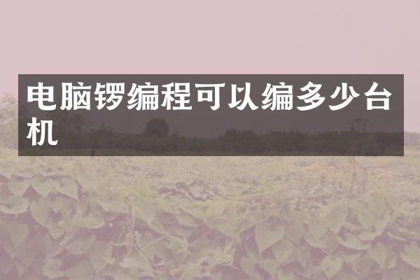 电脑锣编程可以编多少台机