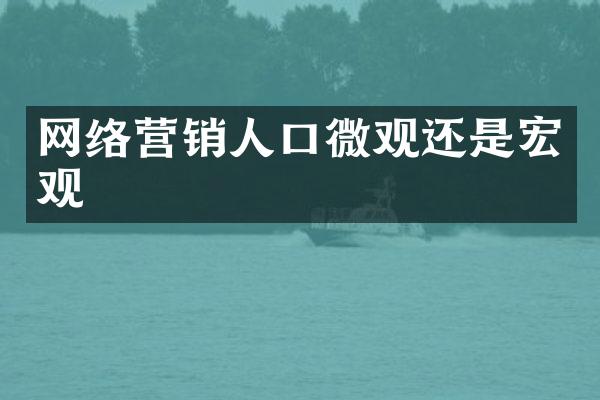 网络营销人口微观还是宏观