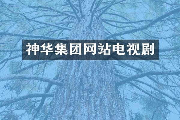 神华集团网站电视剧