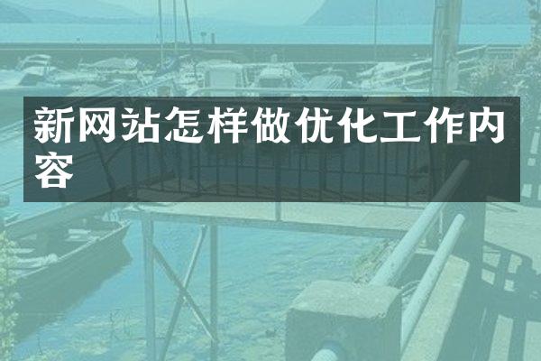 新网站怎样做优化工作内容