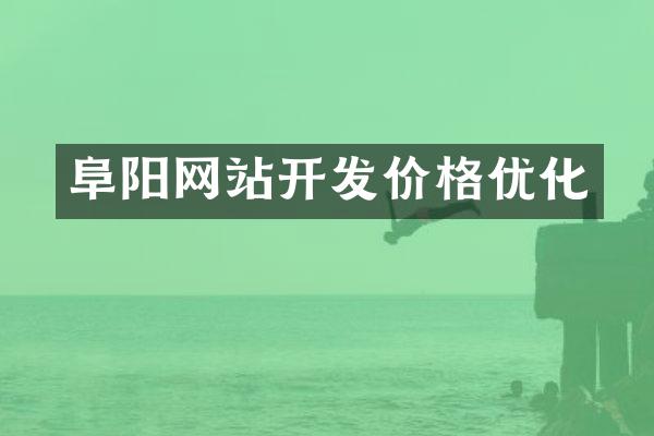 阜阳网站开发价格优化