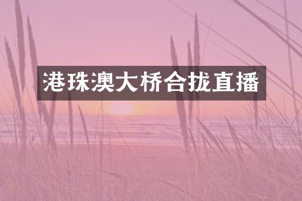 港珠澳大桥合拢直播