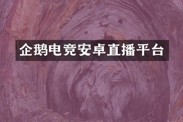 企鹅电竞安卓直播平台