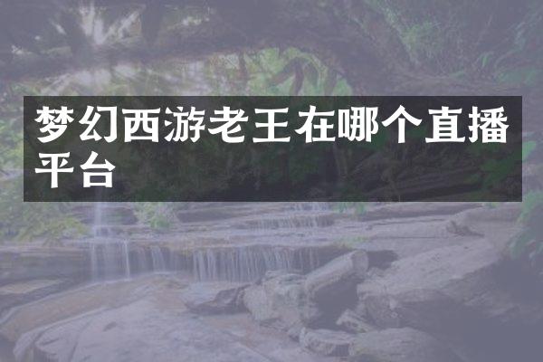 梦幻西游老王在哪个直播平台