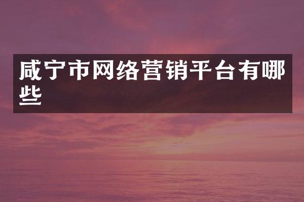 咸宁市网络营销平台有哪些