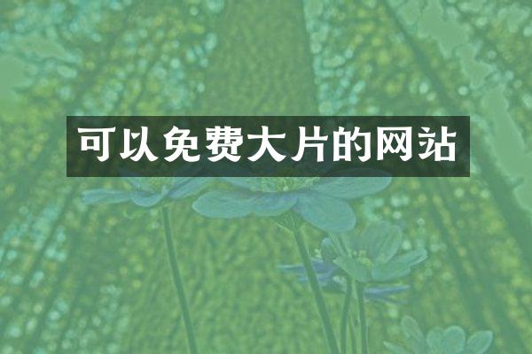可以免费大片的网站