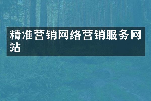 精准营销网络营销服务网站