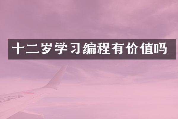 十二岁学习编程有价值吗
