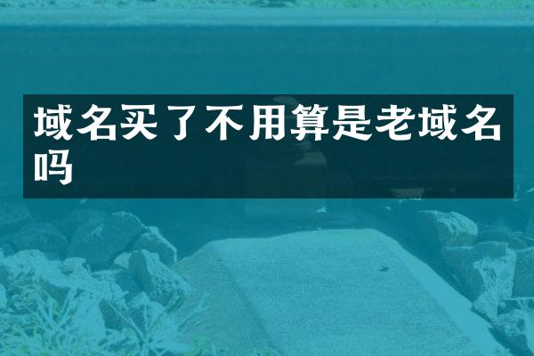 域名买了不用算是老域名吗