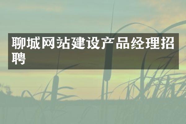聊城网站建设产品经理招聘