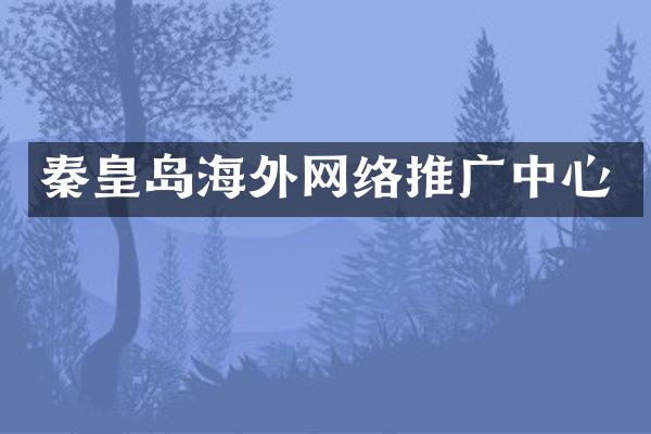 秦皇岛海外网络推广中心