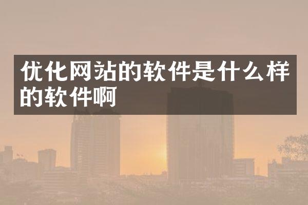 优化网站的软件是什么样的软件啊