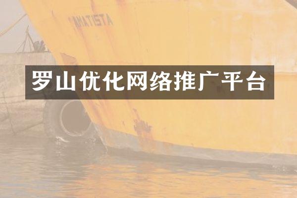 罗山优化网络推广平台