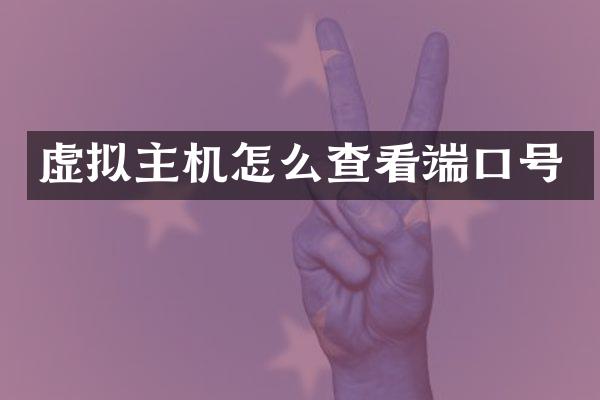 虚拟主机怎么查看端口号