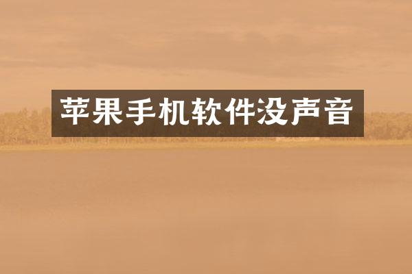 苹果手机软件没声音