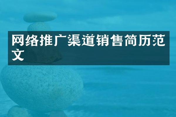 网络推广渠道销售简历范文