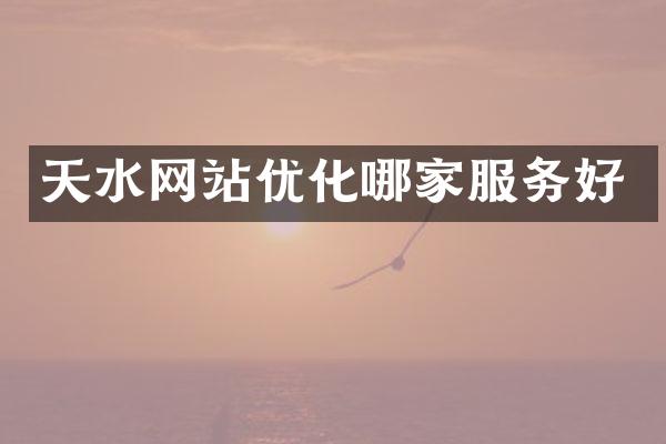 天水网站优化哪家服务好