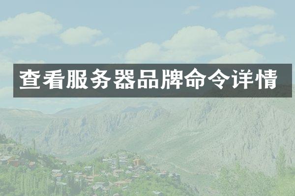 查看服务器品牌命令详情