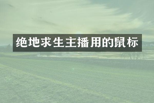 绝地求生主播用的鼠标