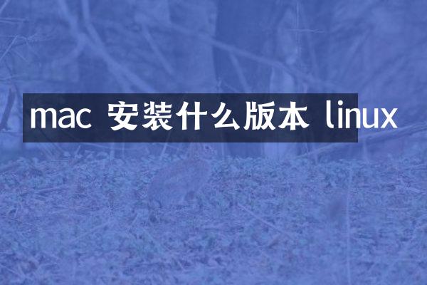 mac 安装什么版本 linux