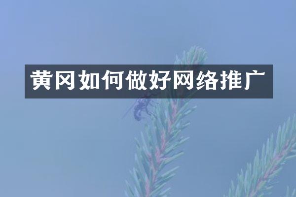 黄冈如何做好网络推广