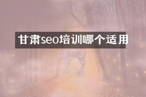 甘肃seo培训哪个适用