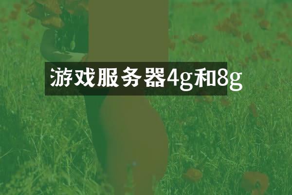 游戏服务器4g和8g