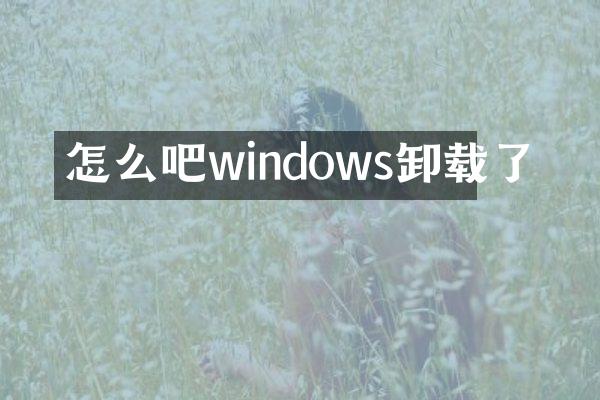 怎么吧windows卸载了