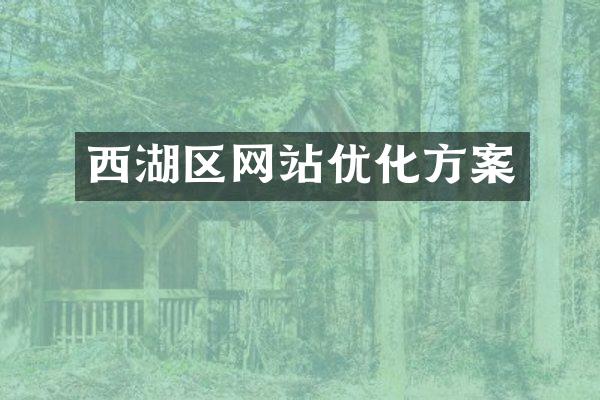 西湖区网站优化方案