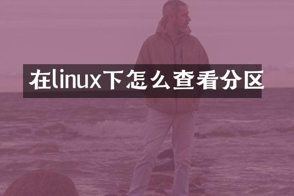 在linux下怎么查看分区