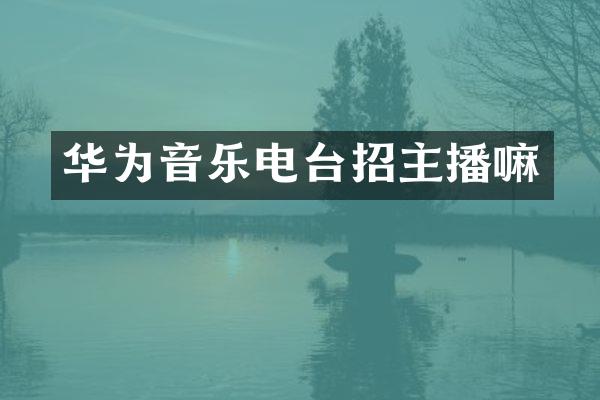 华为音乐电台招主播嘛